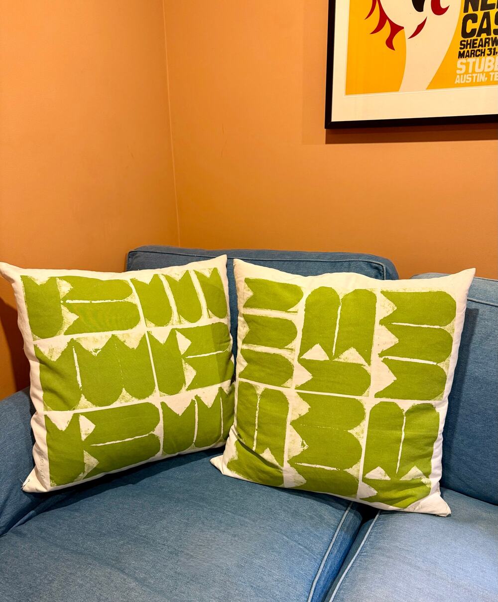 Evelyn Reyes x CB2 Green Carrots Art Pillow Covers White 23x23 Pair NWT 2009